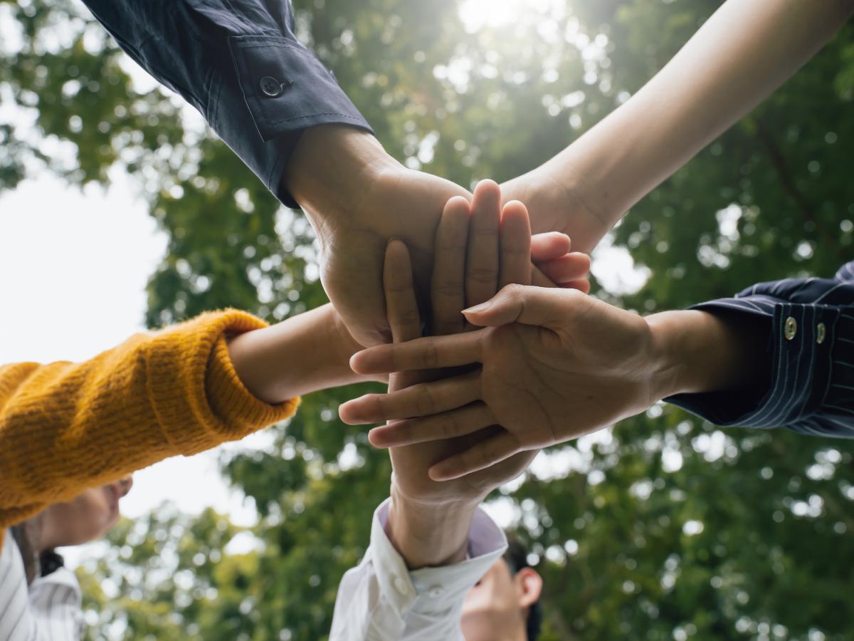 Transformando Vidas com Solidariedade
